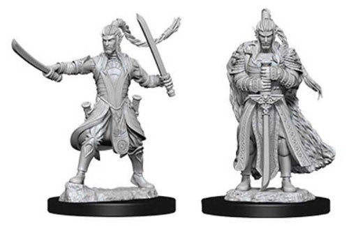 DUNGEONS & DRAGONS NOLZUR'S MARVELOUS UNPAINTED MINI: ELF PALADIN (MALE)