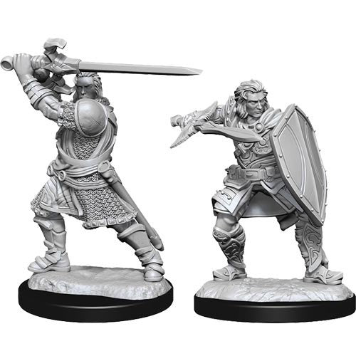 DUNGEONS & DRAGONS NOLZUR'S MARVELOUS UNPAINTED MINI: HUMAN PALADIN (MALE) #3