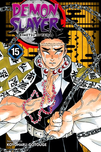 DEMON SLAYER KIMETSU NO YAIBA VOLUME 15