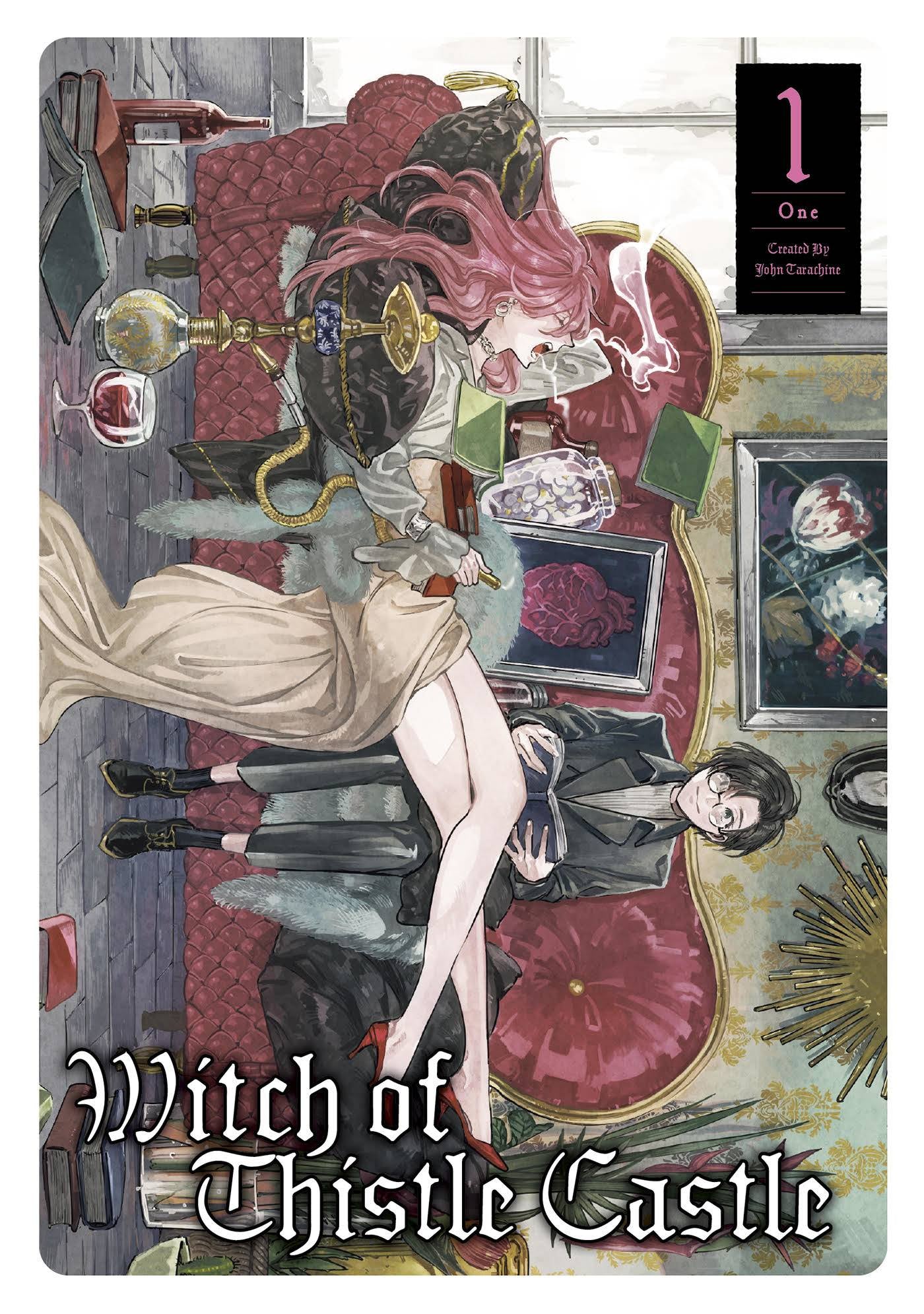 WITCH OF THISTLE CASTLE VOLUME 01