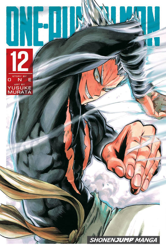 ONE PUNCH MAN VOLUME 12