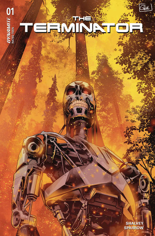 Terminator #1 Cover B Galmon