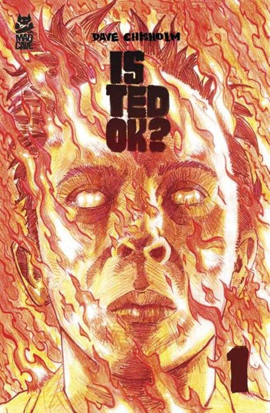 Is Ted Ok #1 (Of 6) Cover A Dave Chisholm