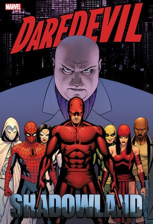 DAREDEVIL SHADOWLAND OMNIBUS HC