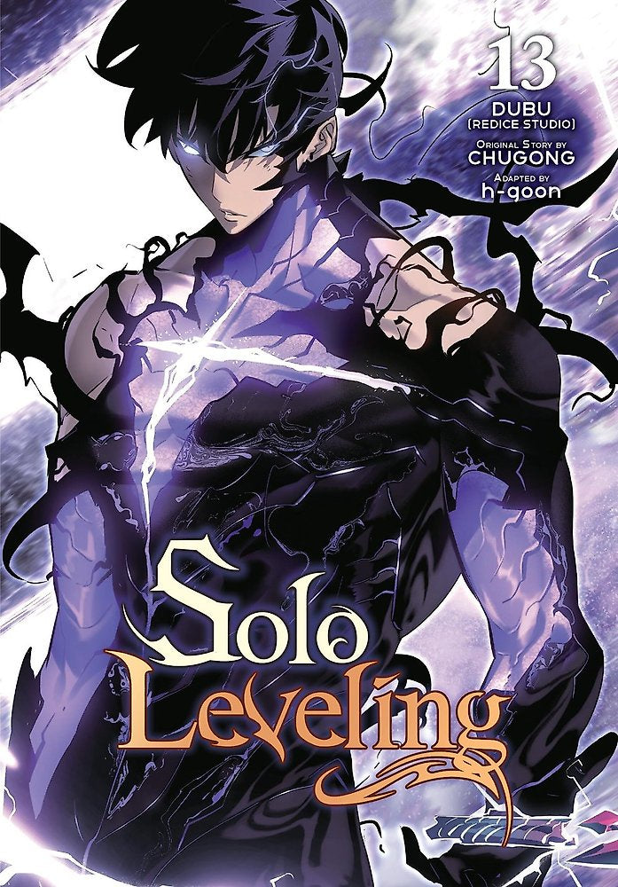 SOLO LEVELING VOLUME 13