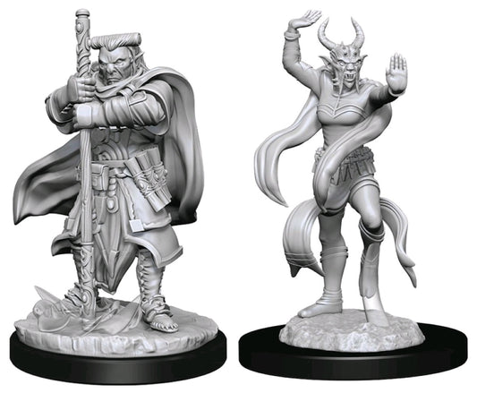 DUNGEONS & DRAGONS NOLZUR'S MARVELOUS UNPAINTED MINI: HOBGOBLIN DEVASTATOR & IRON SHADOW