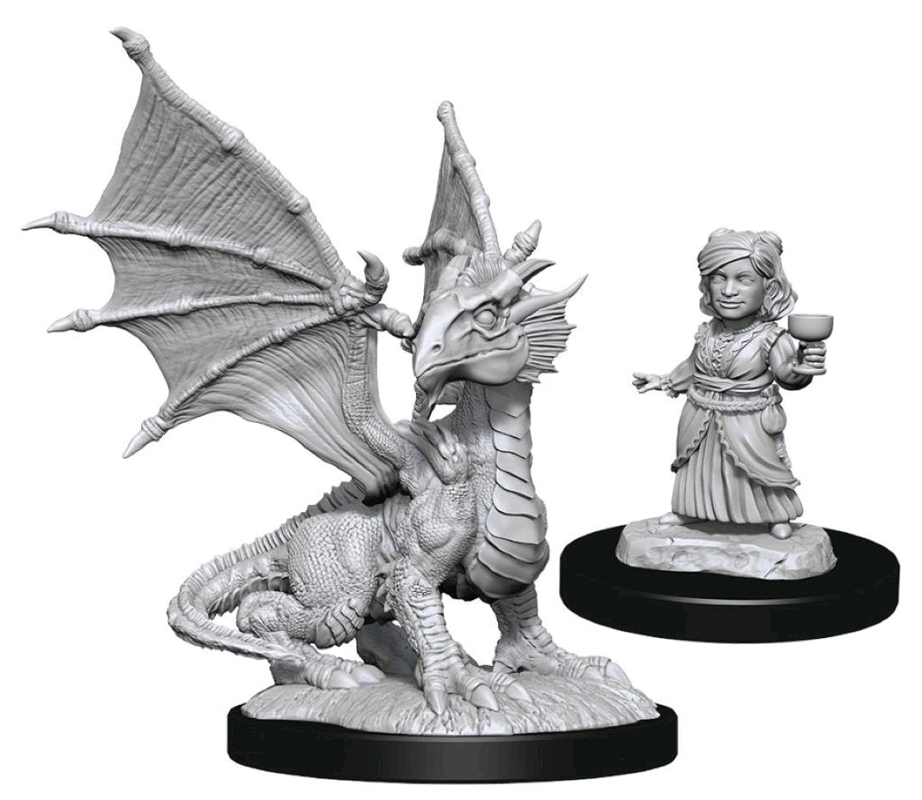DUNGEONS & DRAGONS NOLZUR'S MARVELOUS UNPAINTED MINI: SILVER DRAGON WYRMLING AND HALFLING DRAGON FRIEND