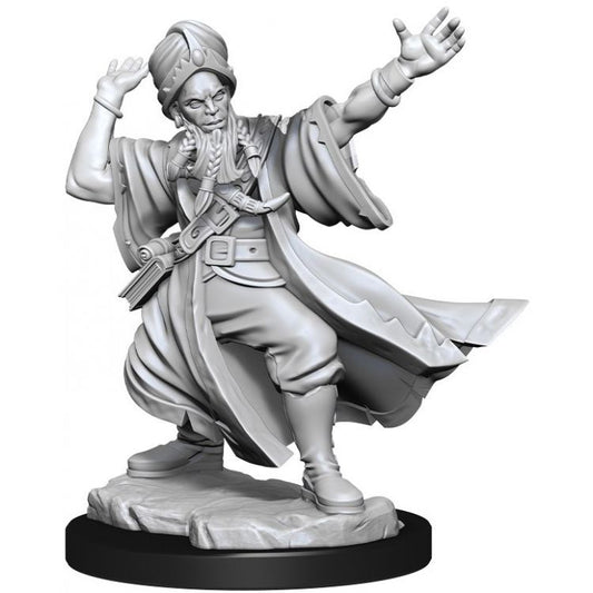 DUNGEONS & DRAGONS FRAMEWORKS: HUMAN WIZARD MALE