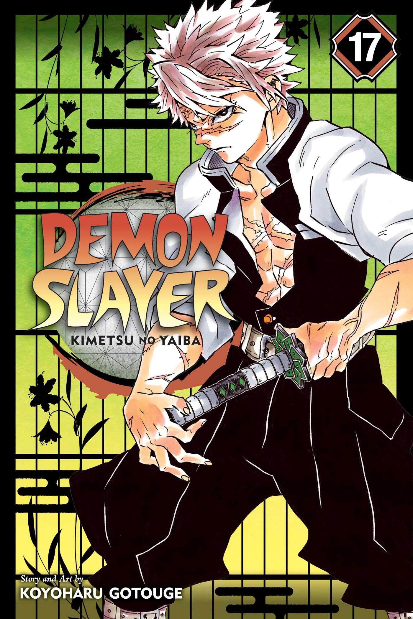 DEMON SLAYER KIMETSU NO YAIBA VOLUME 17