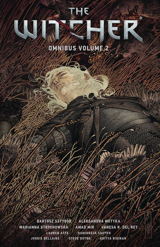 WITCHER OMNIBUS VOLUME 02
