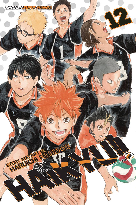 HAIKYU VOLUME 12