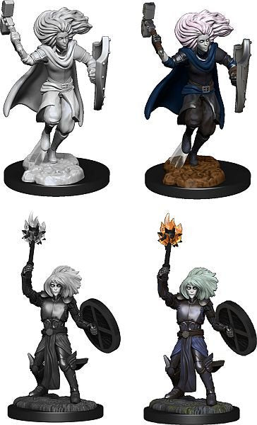 DUNGEONS & DRAGONS NOLZUR'S MARVELOUS UNPAINTED MINI: CHANGELING CLERIC