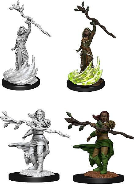 DUNGEONS & DRAGONS NOLZUR'S MARVELOUS UNPAINTED MINI: HUMAN DRUID (FEMALE) #2